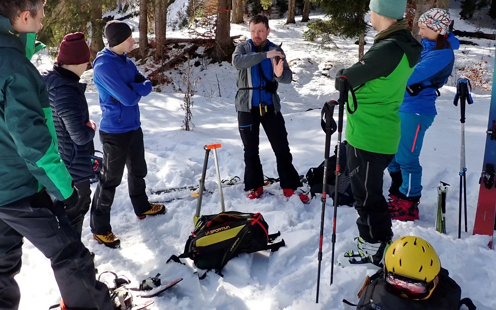 nivologie-si-avalanse-featured