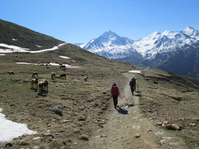 Suspendisse magna magna, ornare eget molestie faucibus, consectetur 2