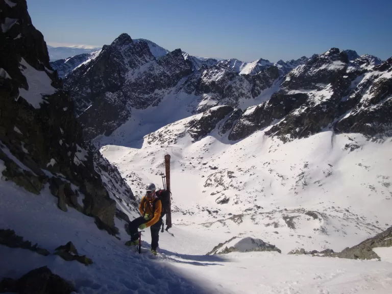 Sed a vehicula massa. Maecenas eget libero vitae ligula rutrum venenatis 3